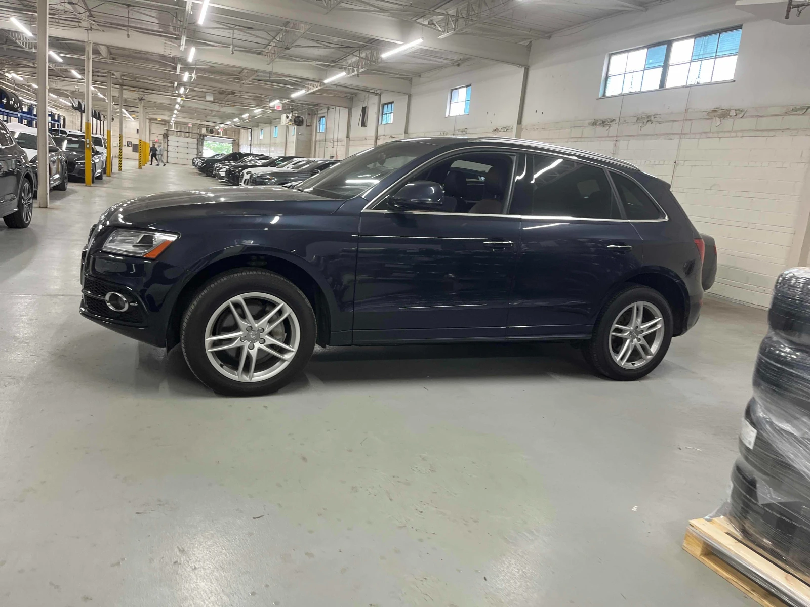 Audi Q5 Progressiv* CARFAX*  - изображение 3