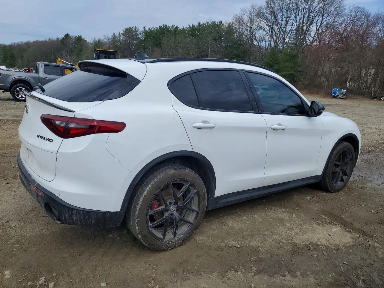 Alfa Romeo Stelvio 2.0l Ti, снимка 3 - Автомобили и джипове - 54241462