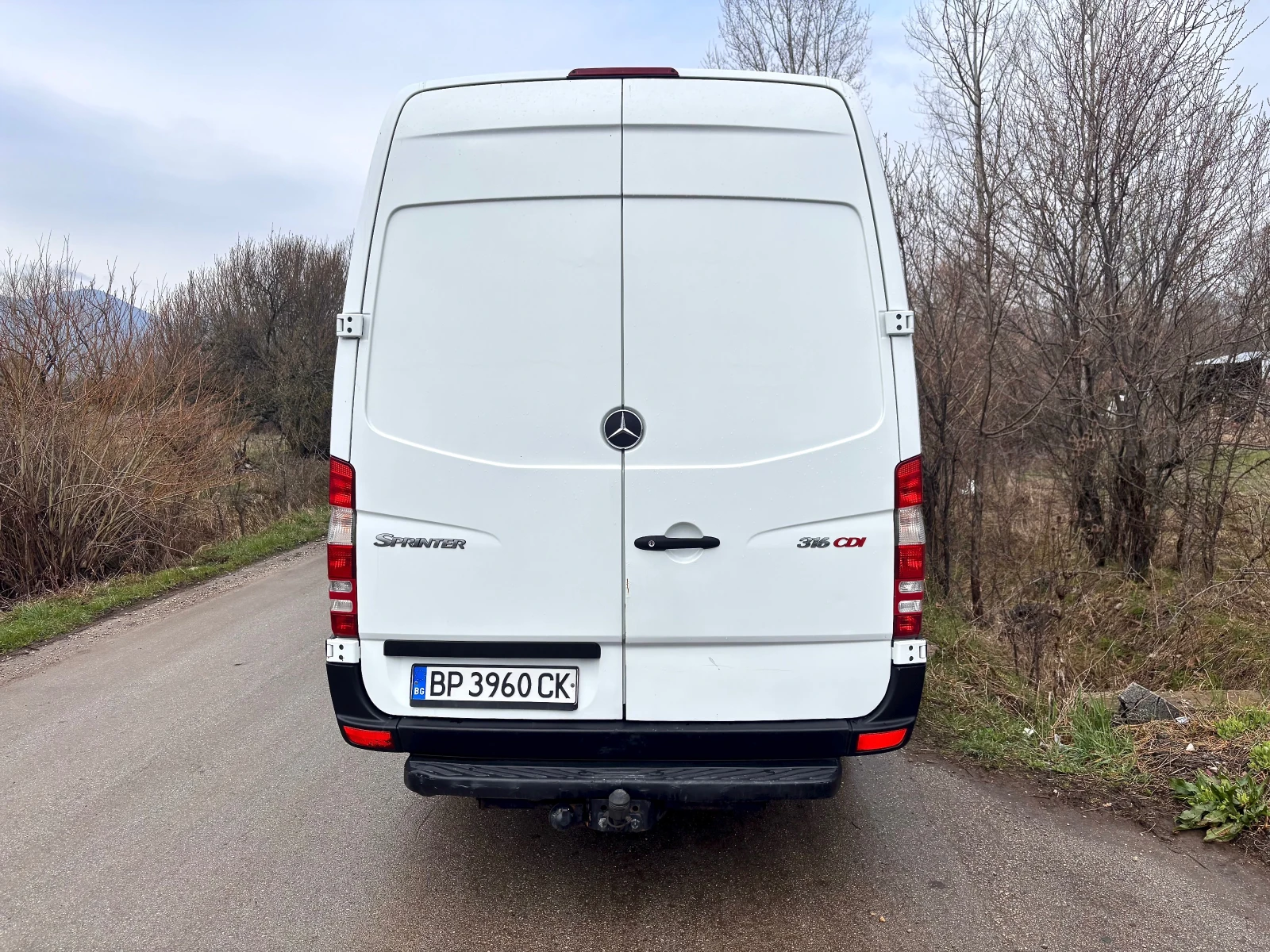 Mercedes-Benz 316, снимка 8 - Бусове и автобуси - 53958348