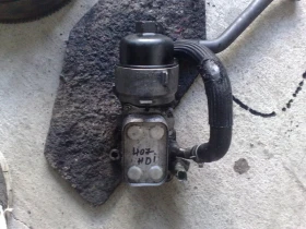 ������ �������� �����