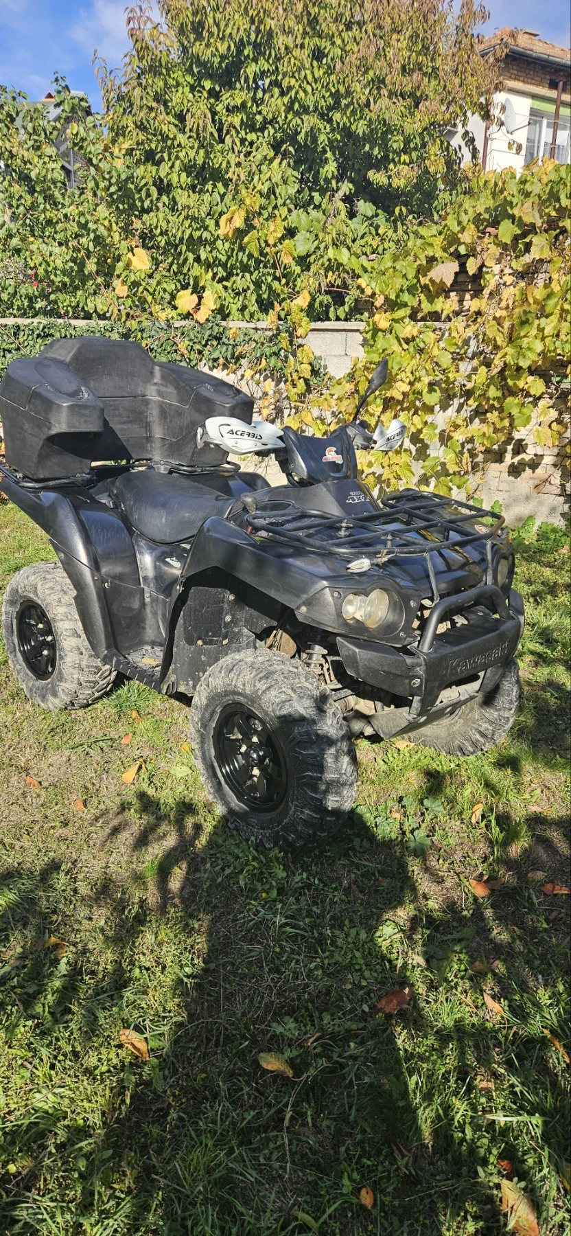 Kawasaki Brute Force 750 - изображение 5