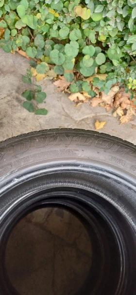  205/60R16 | Mobile.bg    7