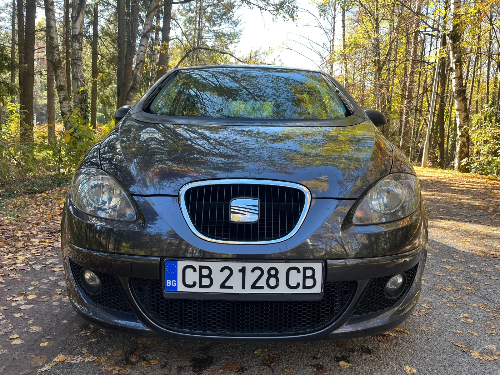 Seat Altea 1.9 TDI 105кс  - изображение 2