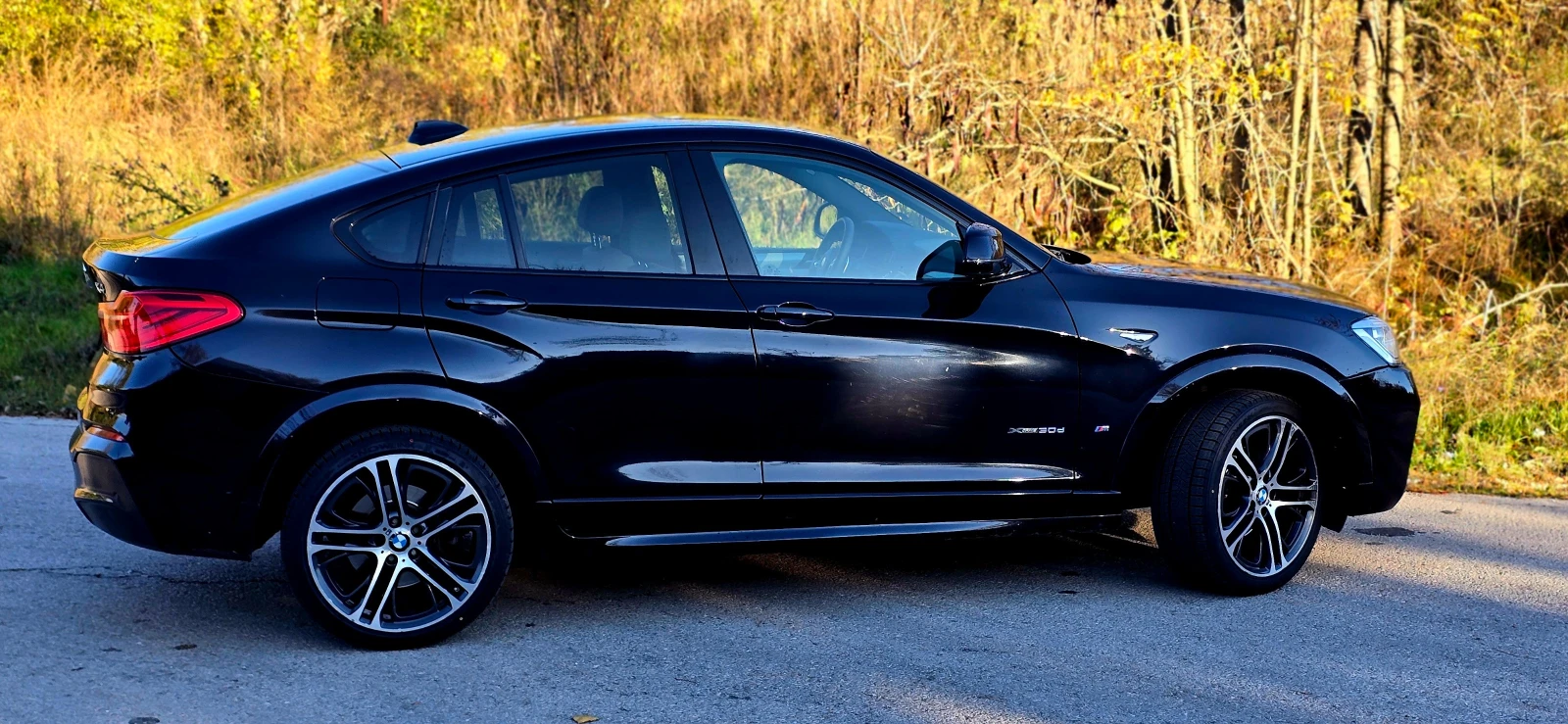 BMW X4 X4 X-Drive 2016 - изображение 7