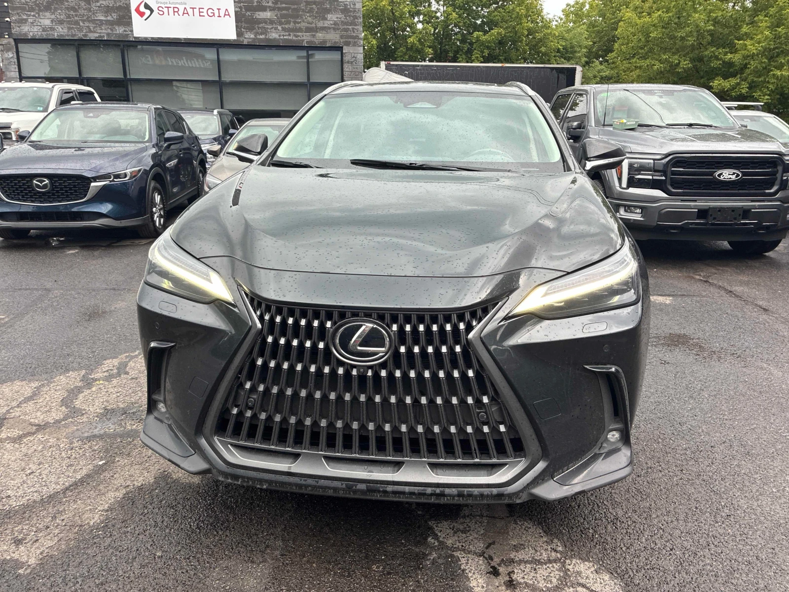 Lexus NX 450 * 450h+ * CARFAX * ОПЦИЯ ЗА ФИНАНСИРАНЕ, снимка 6 - Автомобили и джипове - 55932260