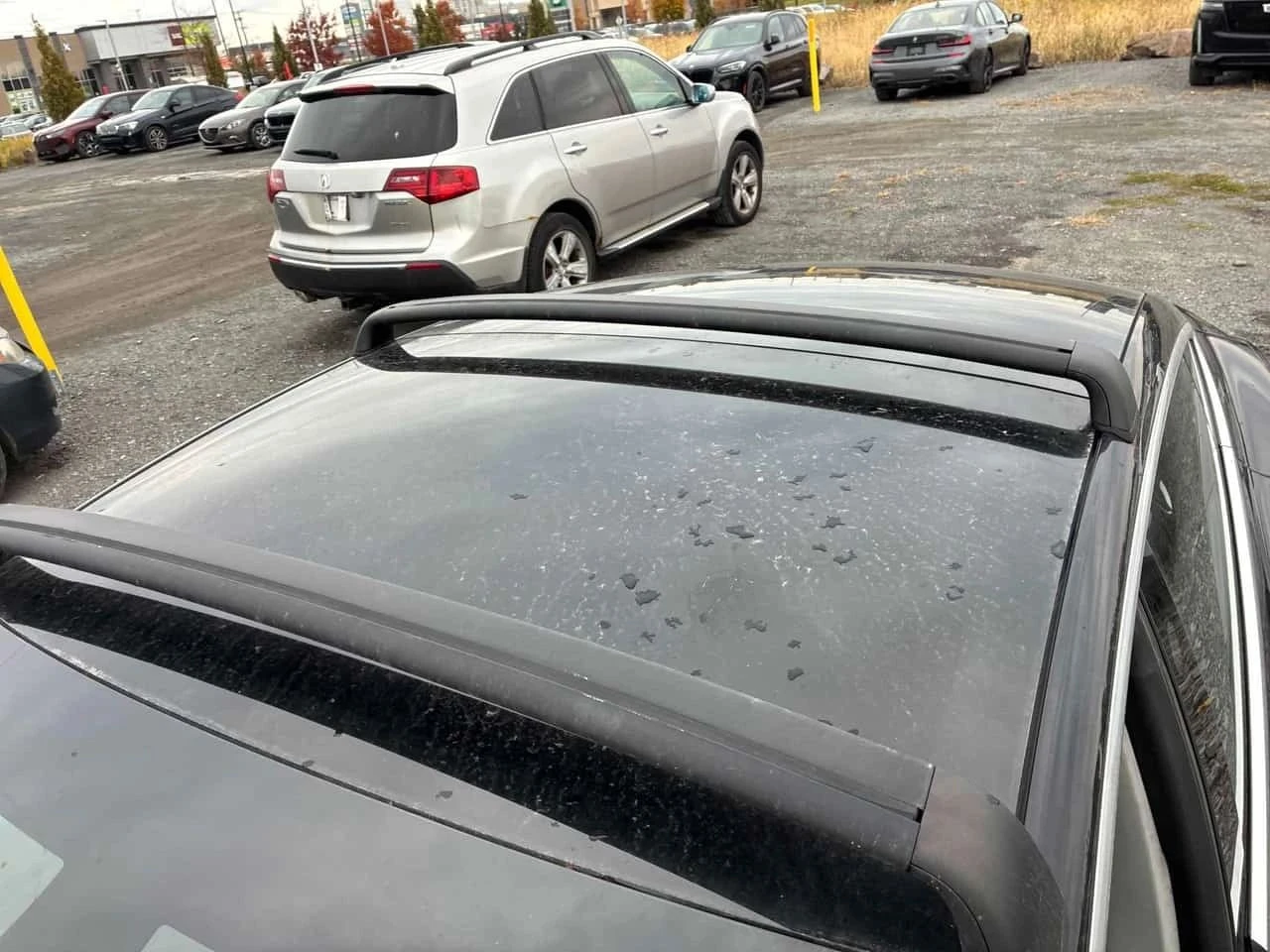 Tesla Model 3 | Mobile.bg � ����������� 17