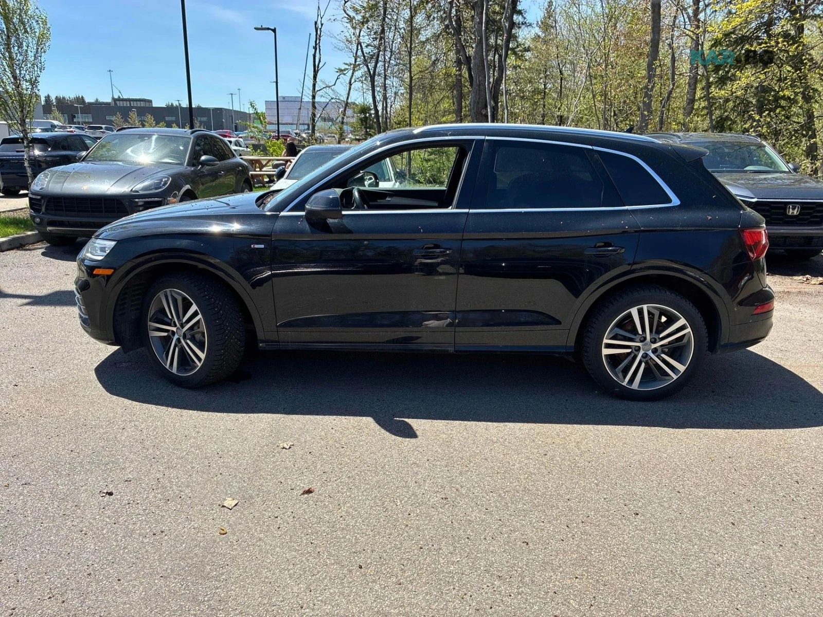 Audi Q5 PROGRESSIV ЦЕНА ДО БЪЛГАРИЯ РЕГИСТРАЦИЯ АВТОКРЕДИТ, снимка 3 - Автомобили и джипове - 55391289