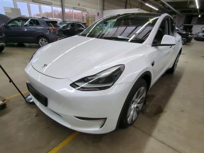 Tesla Model Y LONG RANGE DUAL MOTOR AWD очакван внос