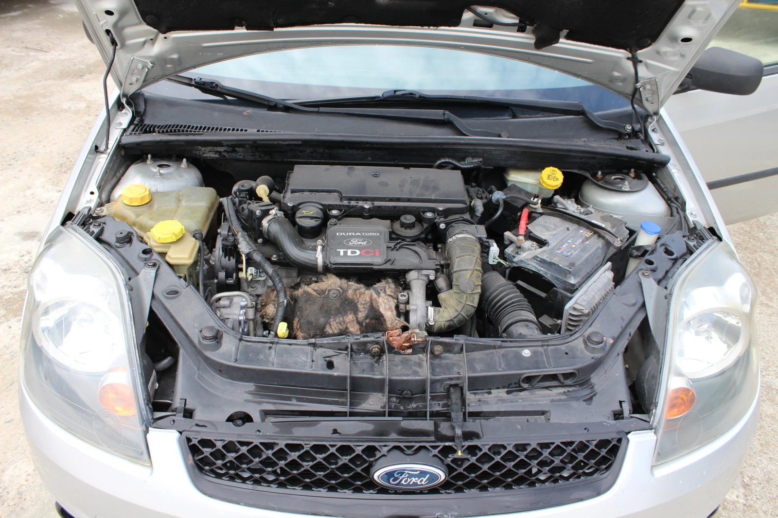 Ford Fiesta 1.4TDCI НОВ ВНОС | Mobile.bg — изображение 16