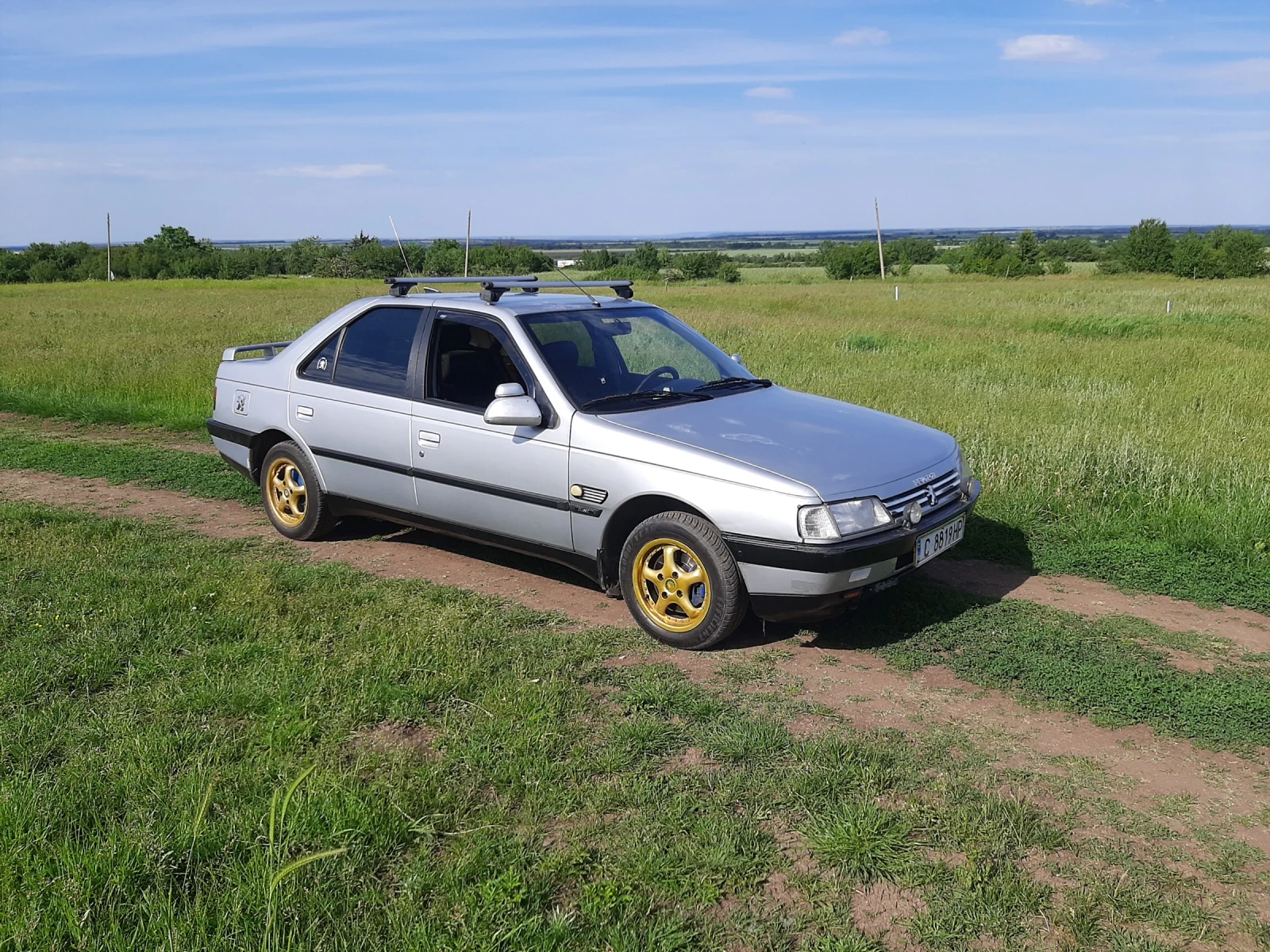 Peugeot 405 1.9 D