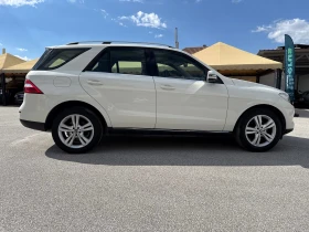 Mercedes-Benz ML 250 d 4-MATIC SPORT ! НА ПРУЖИНИ ! ТОП СЪСТОЯНИЕ, снимка 4