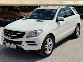 Mercedes-Benz ML 250 d 4-MATIC SPORT ! НА ПРУЖИНИ ! ТОП СЪСТОЯНИЕ, снимка 1