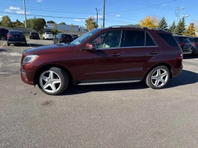 Mercedes-Benz ML * 350 BlueTEC * CARFAX *    | Mobile.bg    3