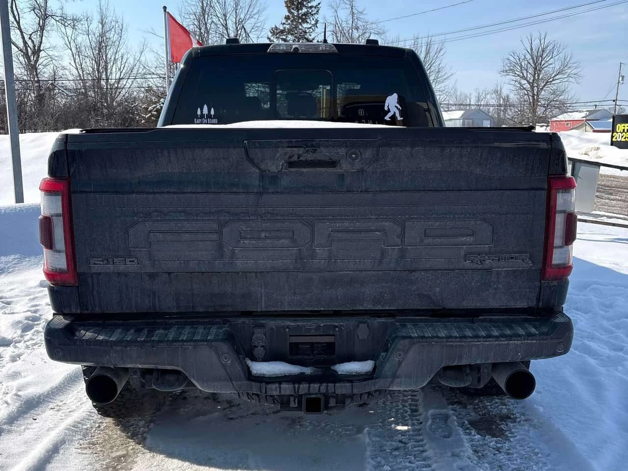 Ford F150 Raptor/ПАНОРАМА/ОБДУХВАНЕ/360 КАМЕРИ, снимка 5 - Автомобили и джипове - 54058574