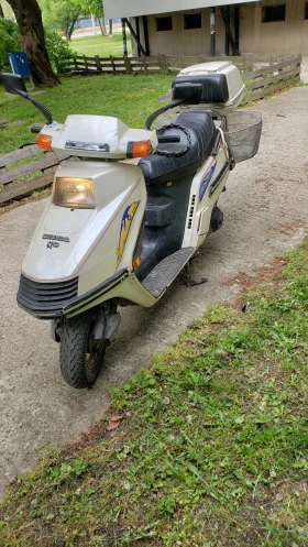 Honda Elite CH 250 | Mobile.bg    7