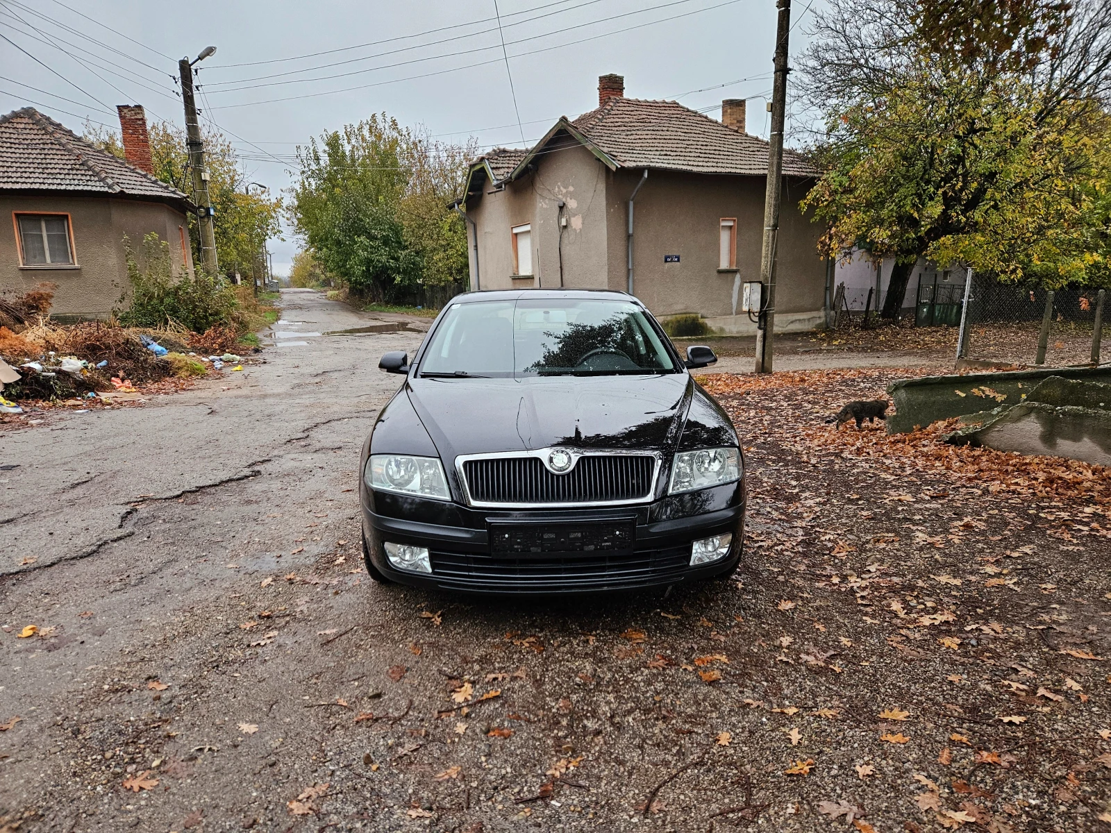 Skoda Octavia 1.9TDI - [1] 