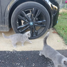 BMW i3 i3s 120Ah | Mobile.bg    13