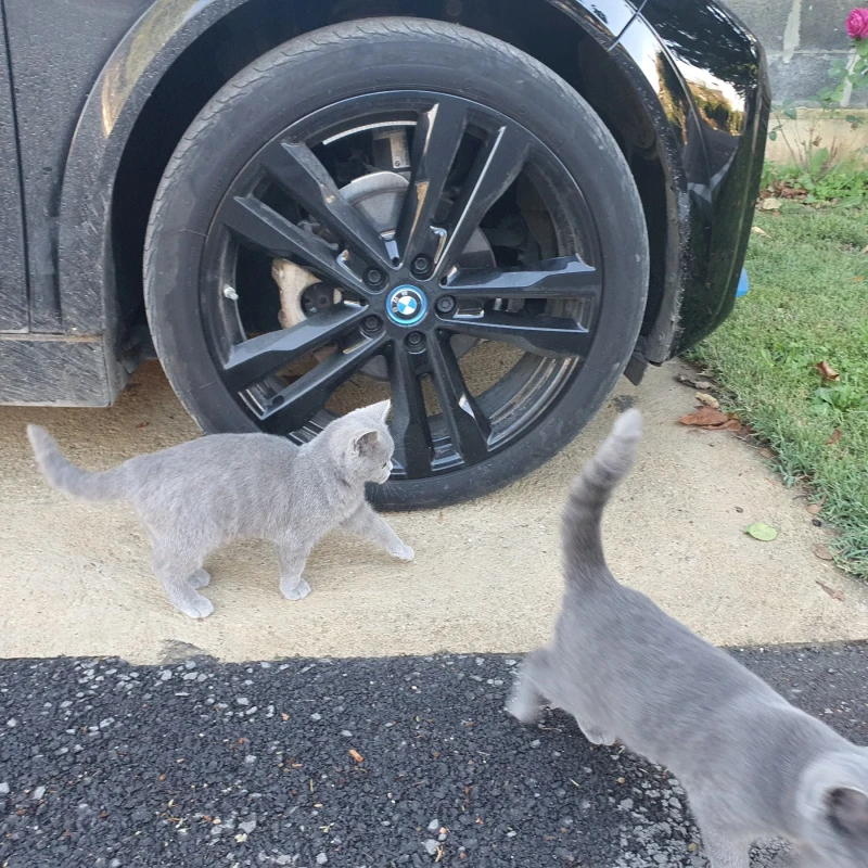 BMW i3 i3s 120Ah, снимка 13 - Автомобили и джипове - 52380249