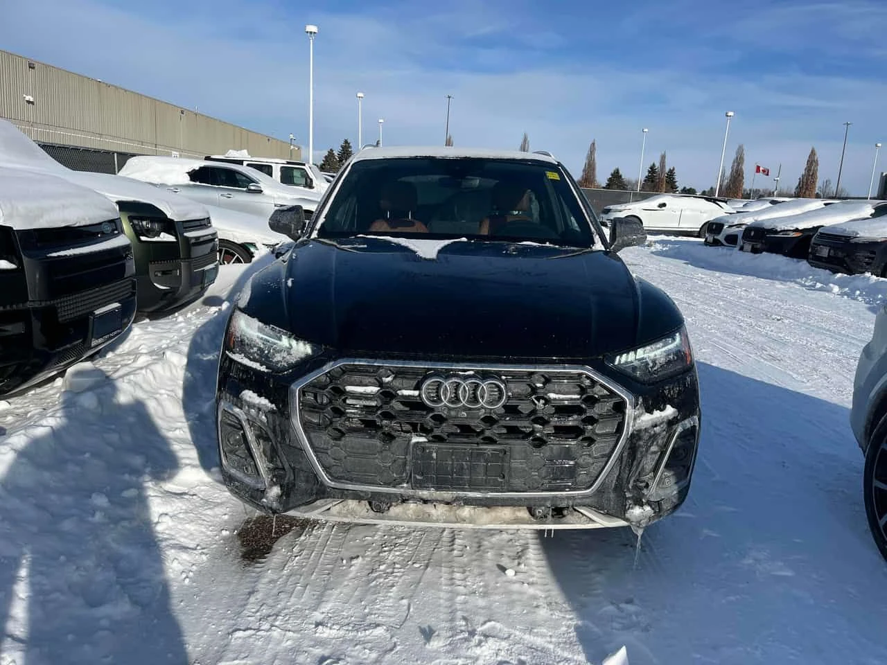 Audi Q5 * Technik * CARFAX * БЕЗ ПЪРВОНАЧАЛНА ВНОСКА, снимка 6 - Автомобили и джипове - 54093979