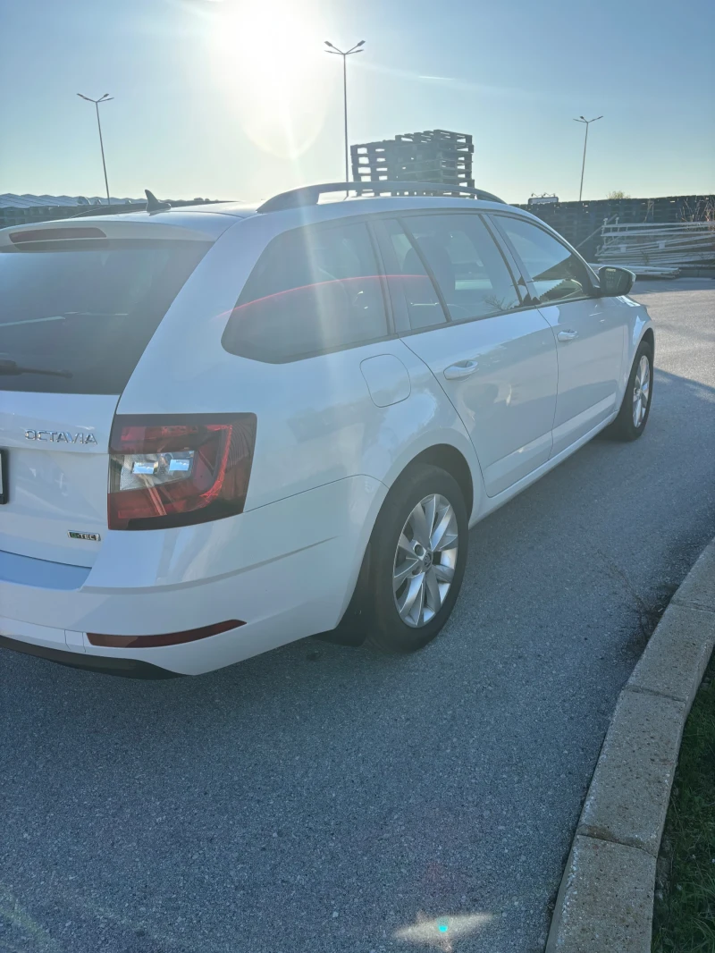 Skoda Octavia, снимка 8 - Автомобили и джипове - 52417557