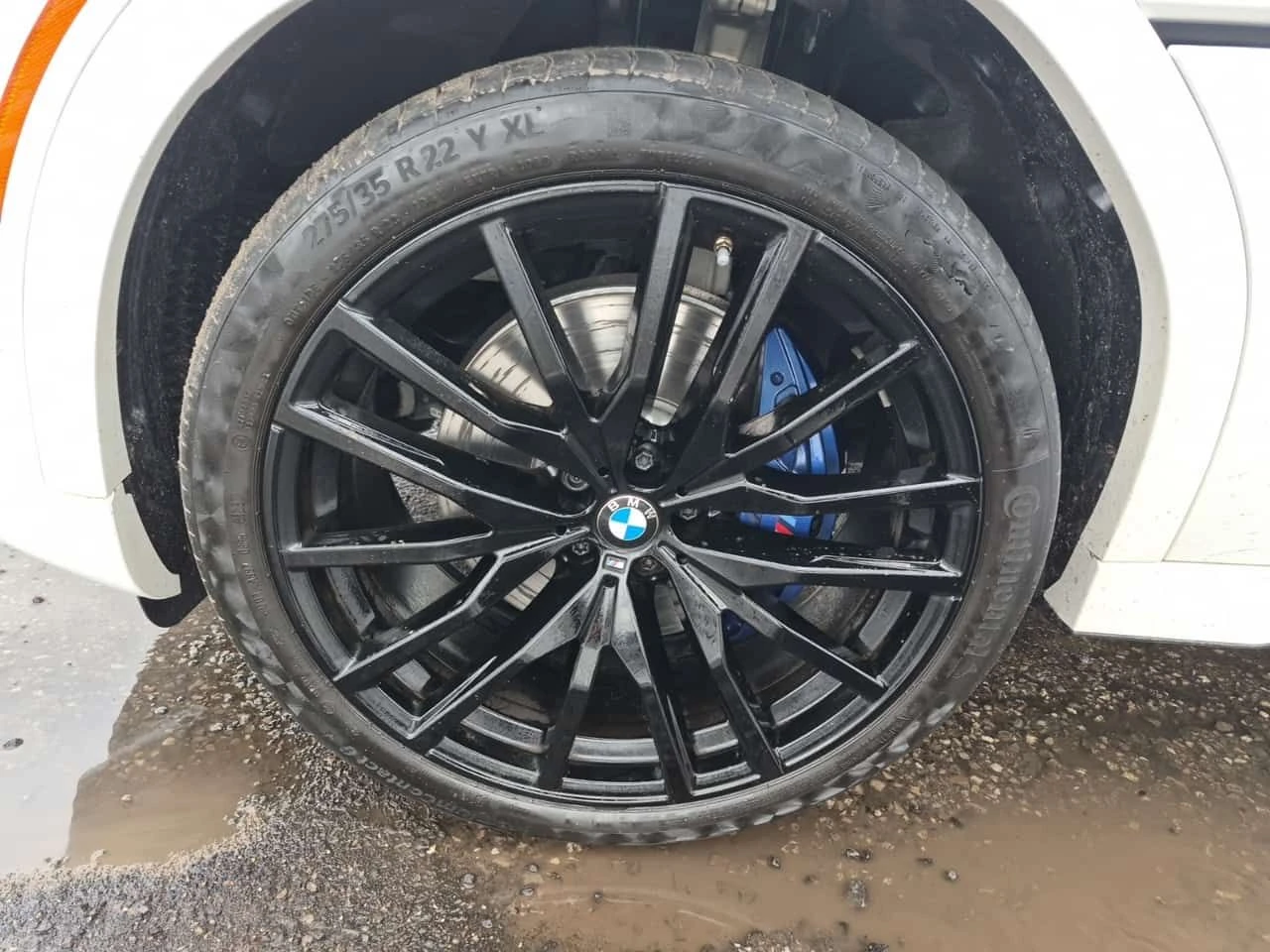 BMW X6 * XDRIVE40I * ОБДУХВАНЕ* H/K* PANO* 2 КЛЮЧА , снимка 6 - Автомобили и джипове - 54185720