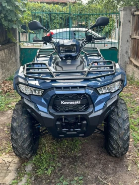     Kawasaki Brute Force Brute forcs 450