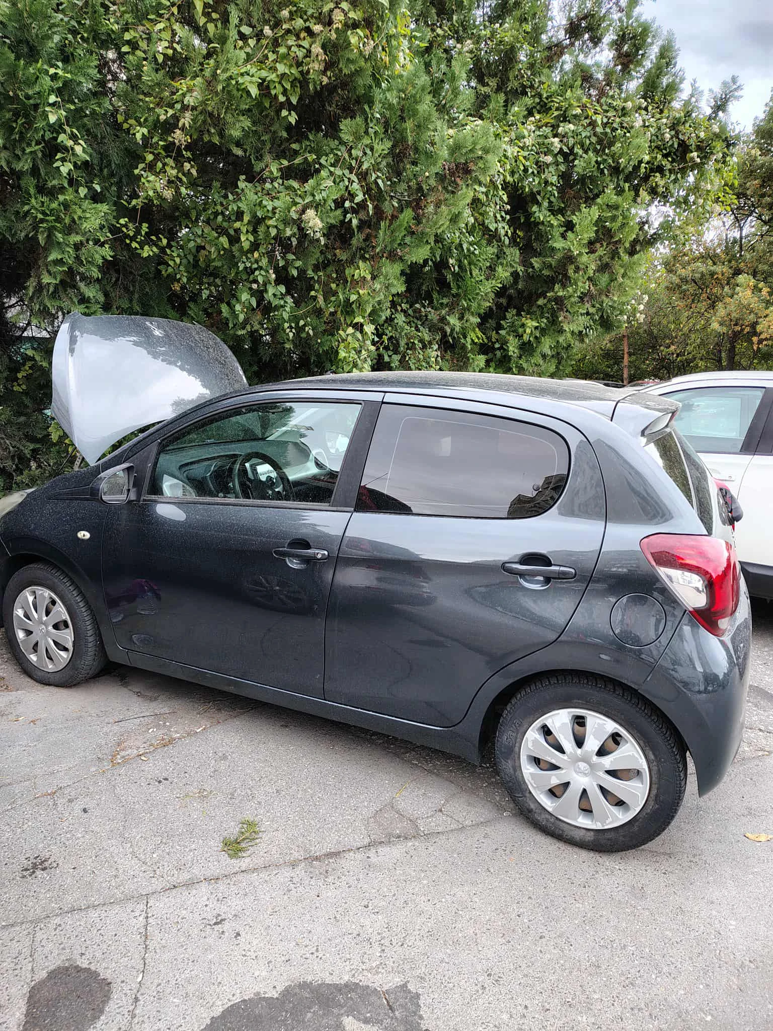 Peugeot 108  - изображение 4