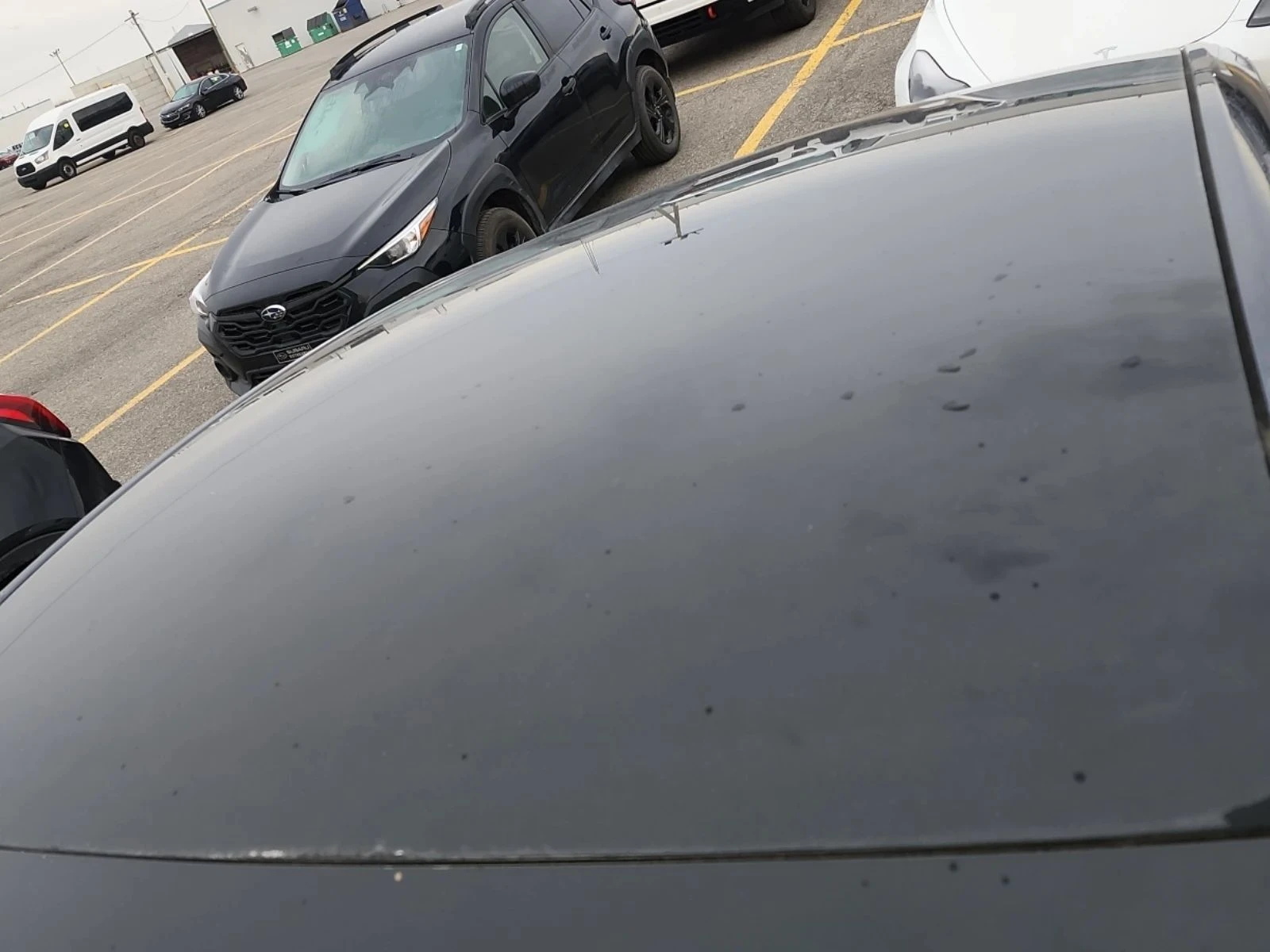 Tesla Model Y, снимка 6 - Автомобили и джипове - 56716989