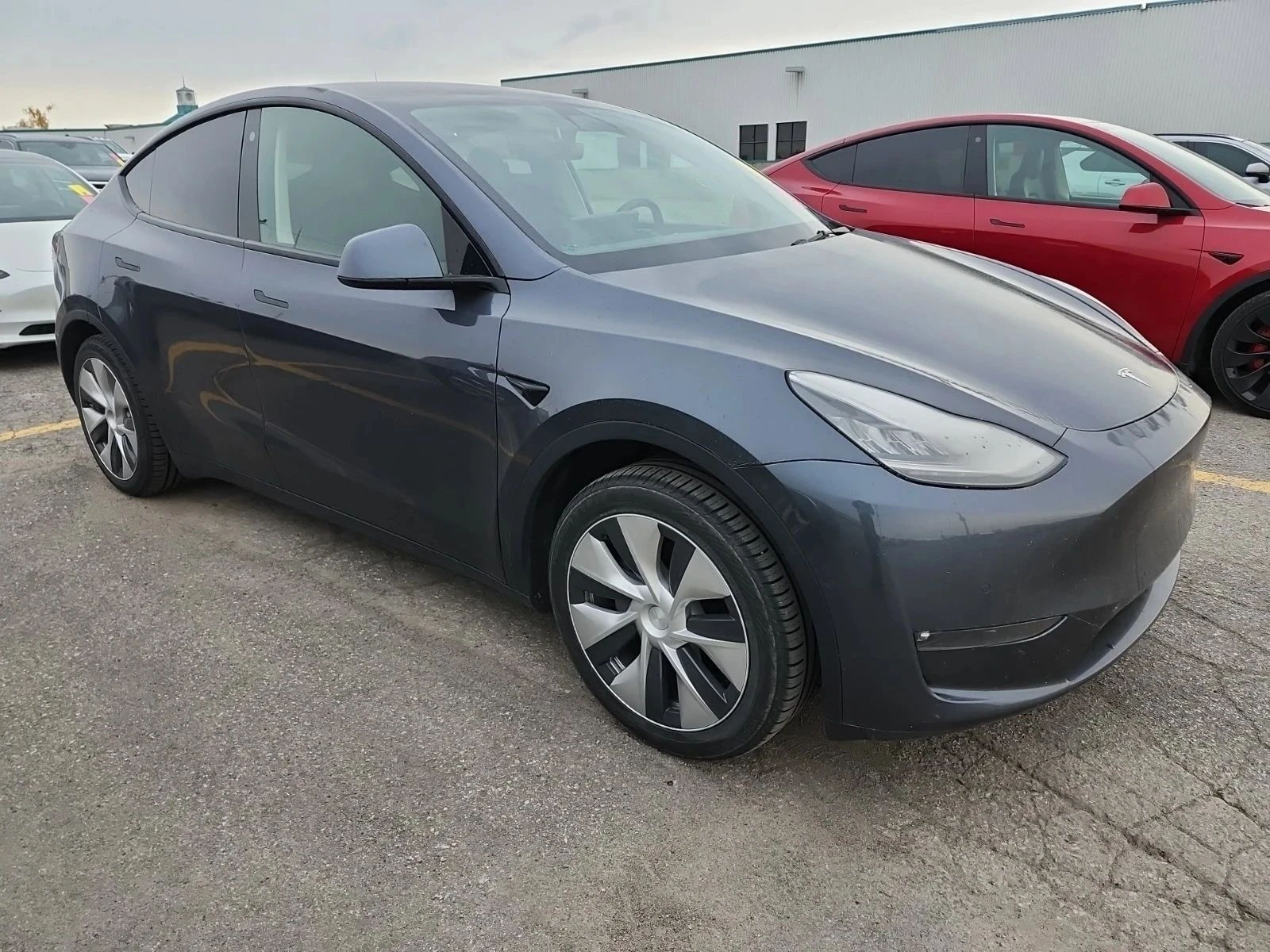 Tesla Model Y, снимка 2 - Автомобили и джипове - 56716989