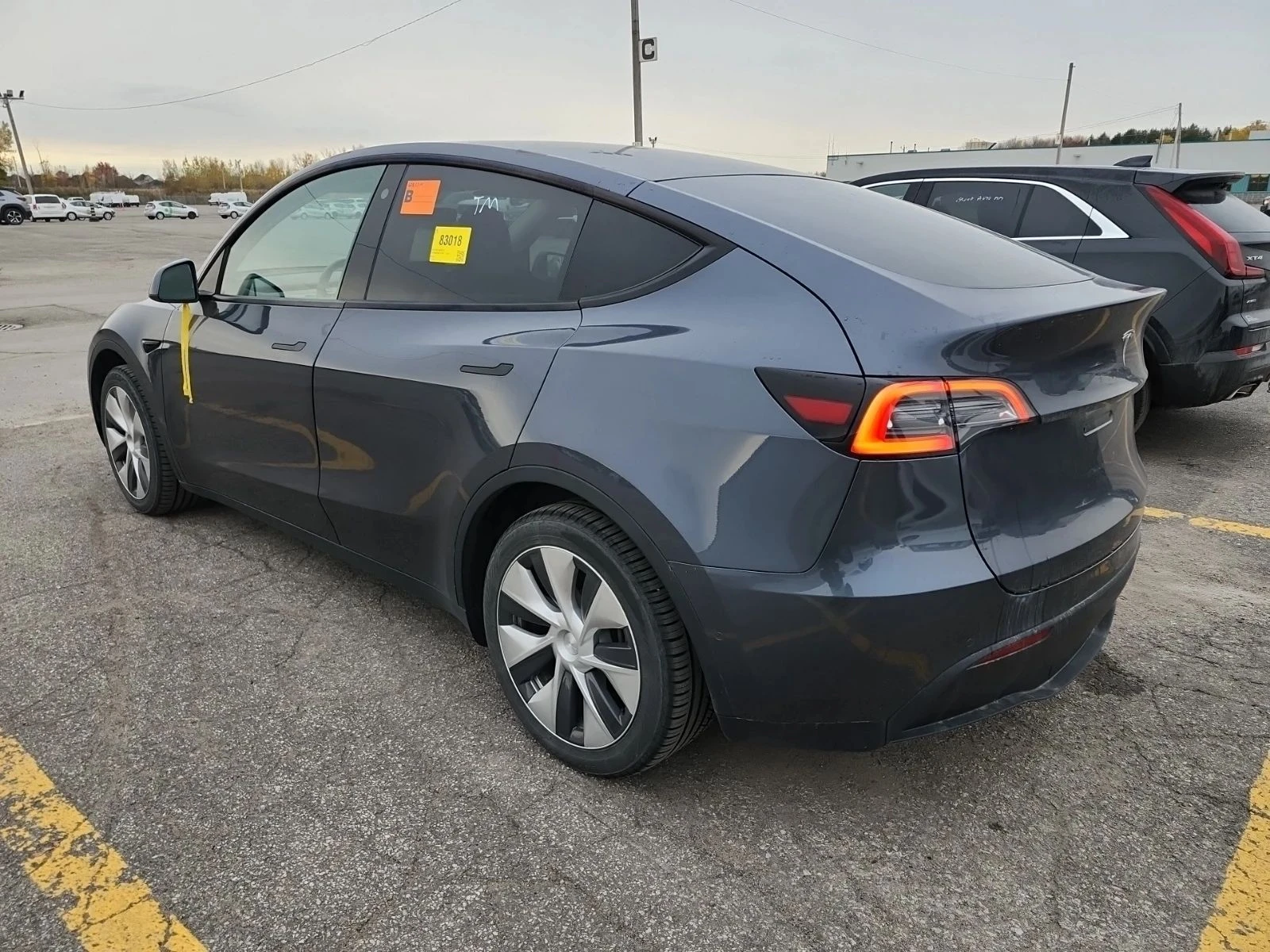 Tesla Model Y, снимка 4 - Автомобили и джипове - 56716989