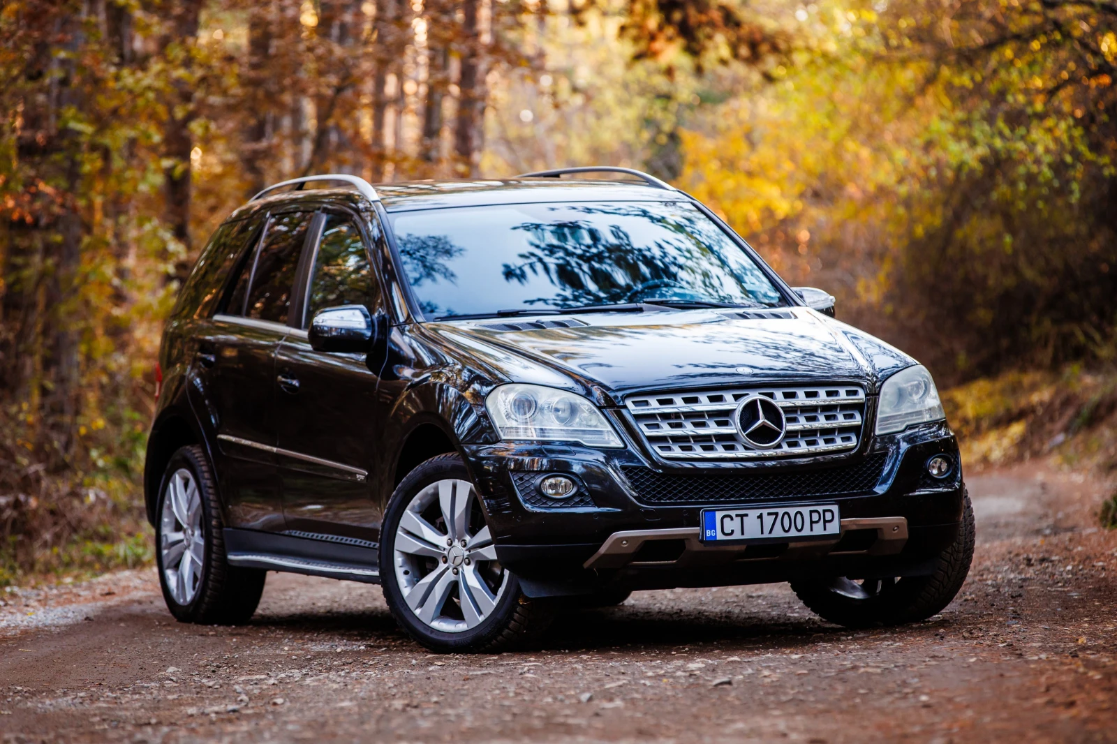 Mercedes-Benz ML 350 CDI 4 MATIC - изображение 2