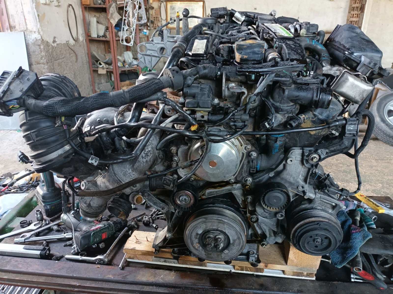 �������� �200 | Mobile.bg � ����������� 4