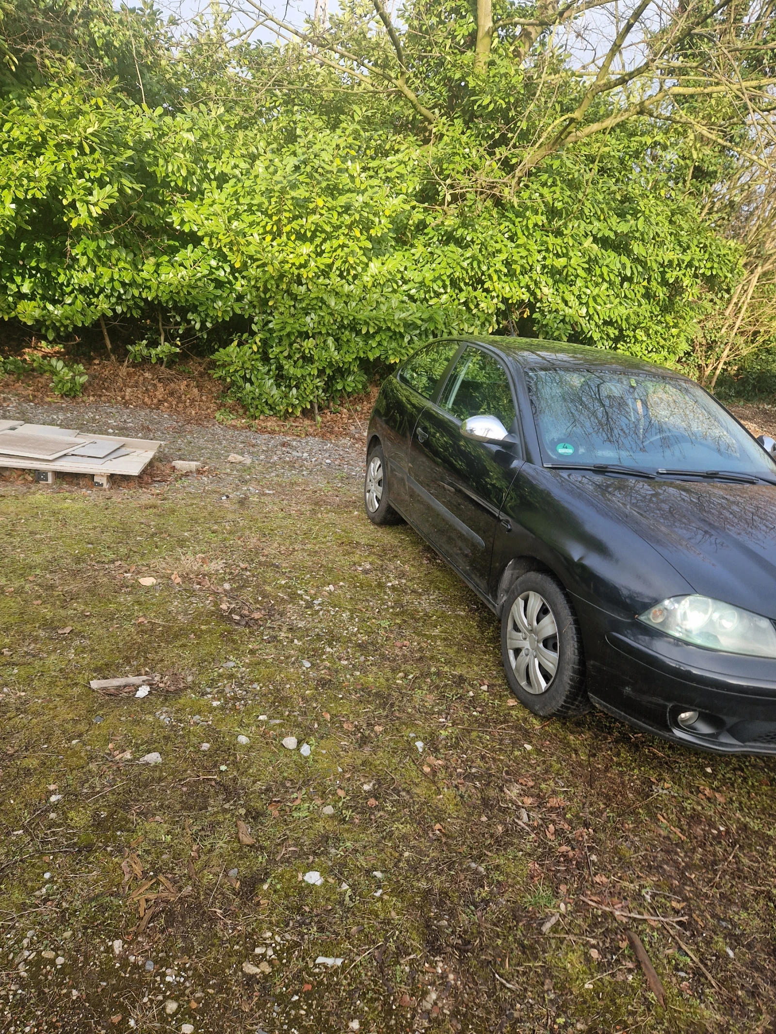 Seat Ibiza 1.9 TDI - изображение 5