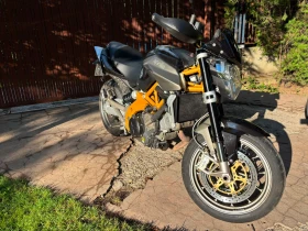 ������ Aprilia Shiver