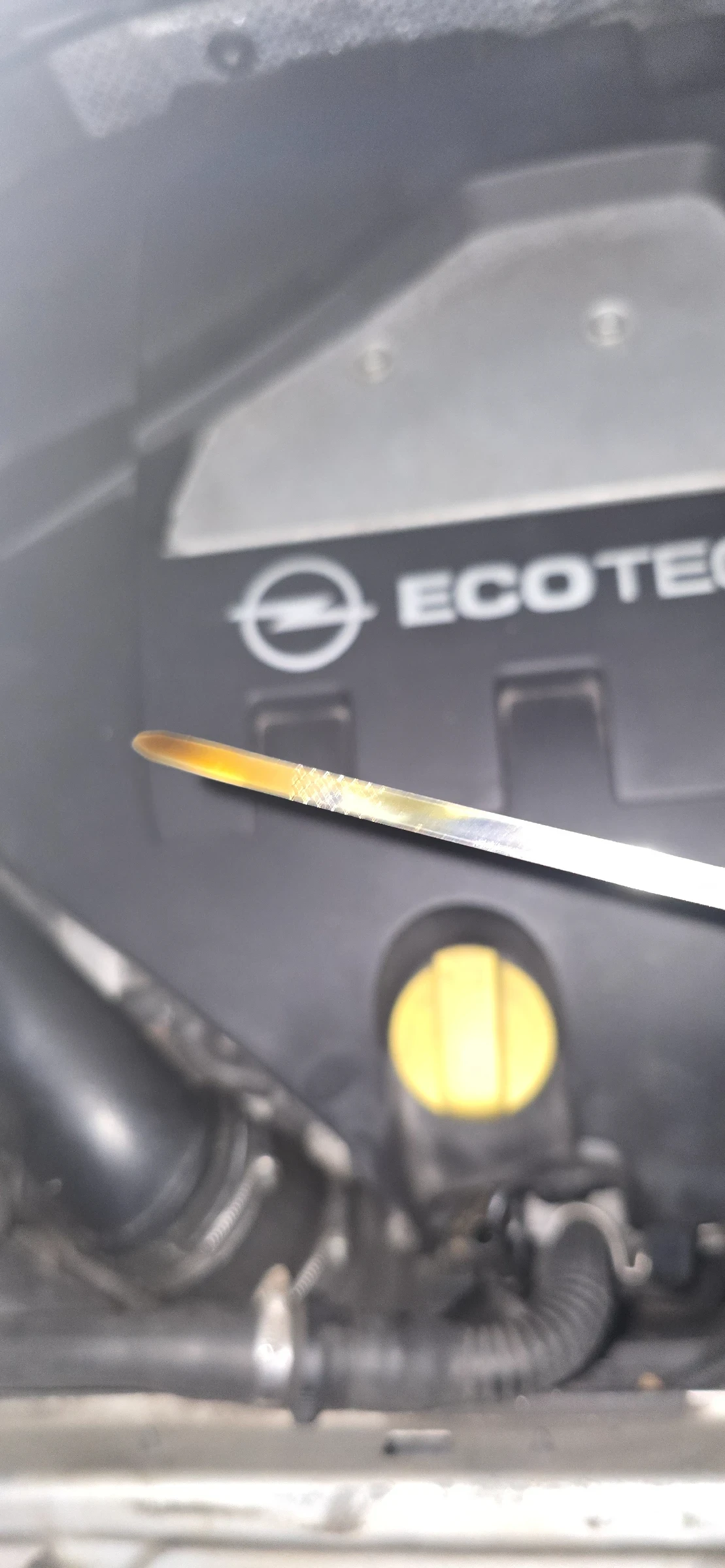 Opel Signum �� ����� ���� ������ 2.8 ����� 255 ���� | Mobile.bg � ����������� 11