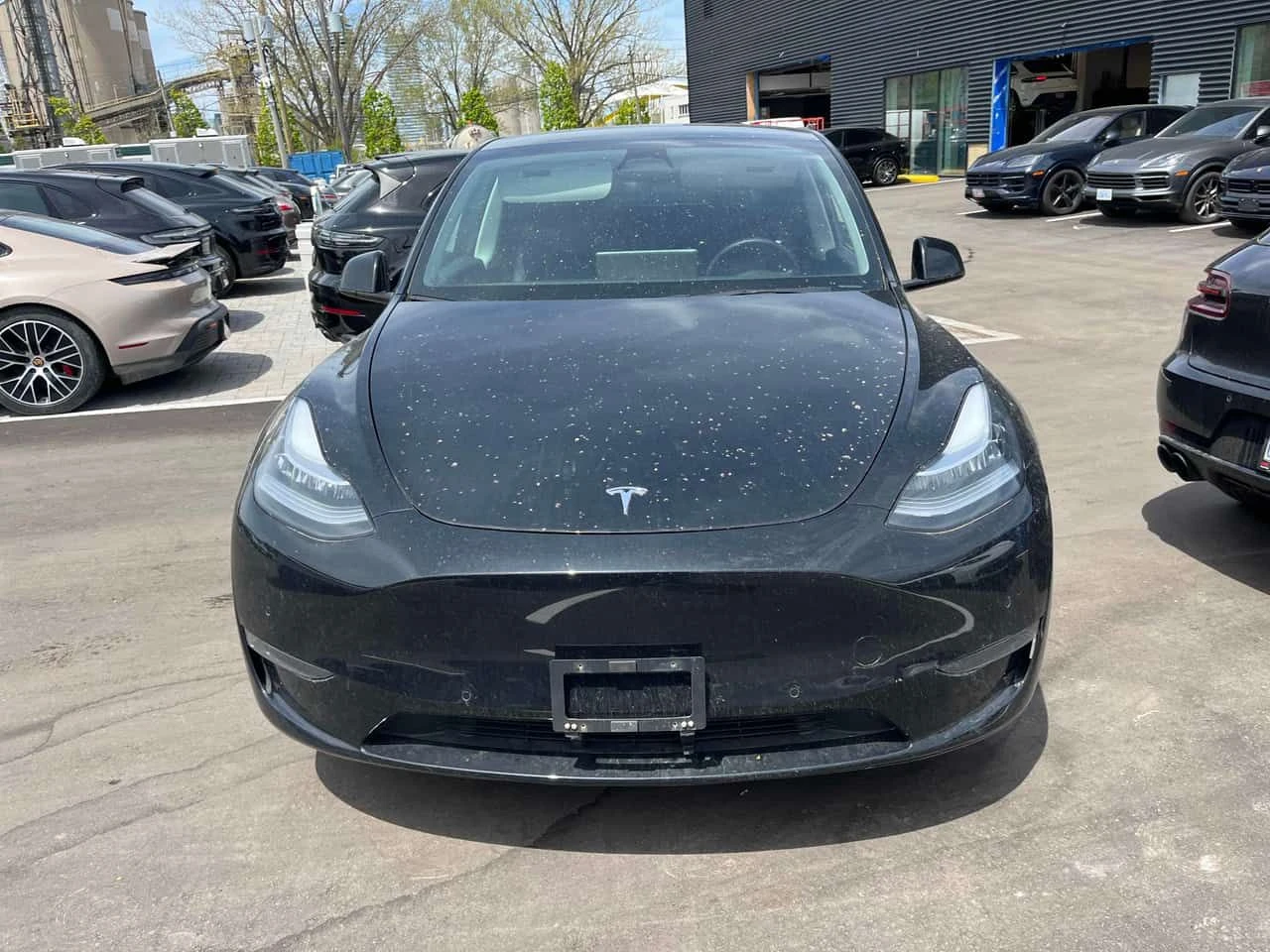 Tesla Model Y Long Range| PANO| KEYLESS| CARFAX| , снимка 5 - Автомобили и джипове - 54628830
