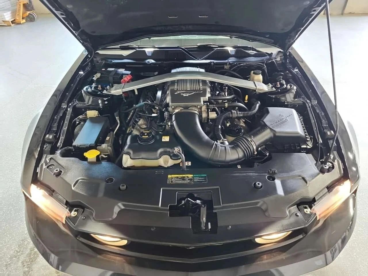 Ford Mustang, снимка 16 - Автомобили и джипове - 56687728