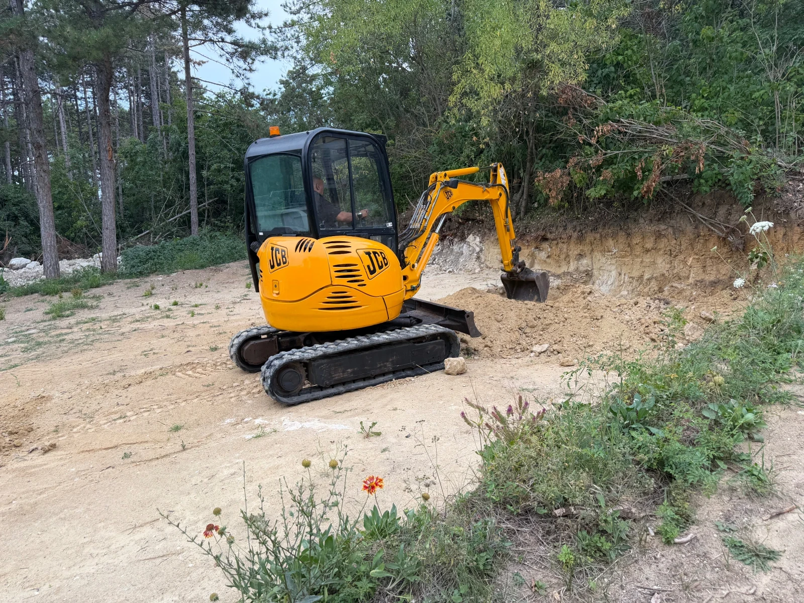 Багер JCB 8025