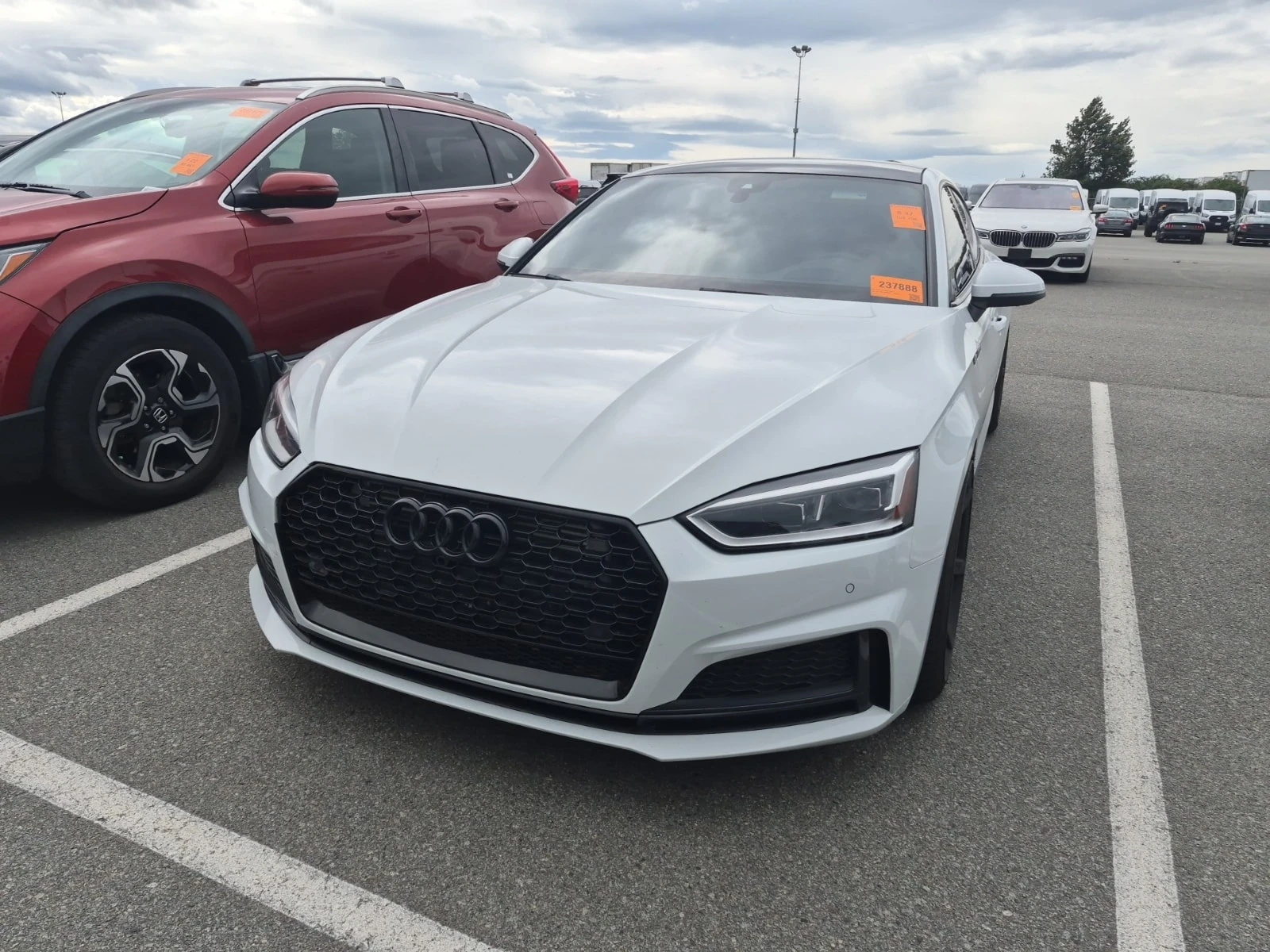Audi S5 * TECHNIK* CARFAX* ��������* ����������*  | Mobile.bg � ����������� 1
