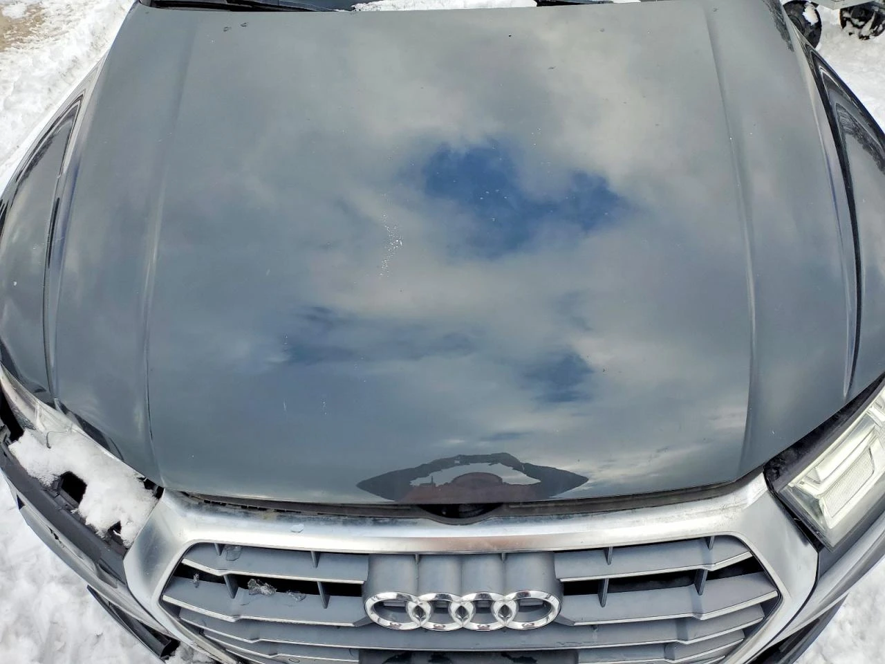 Audi Q5 PREMIUM PLUS | Mobile.bg � ����������� 12