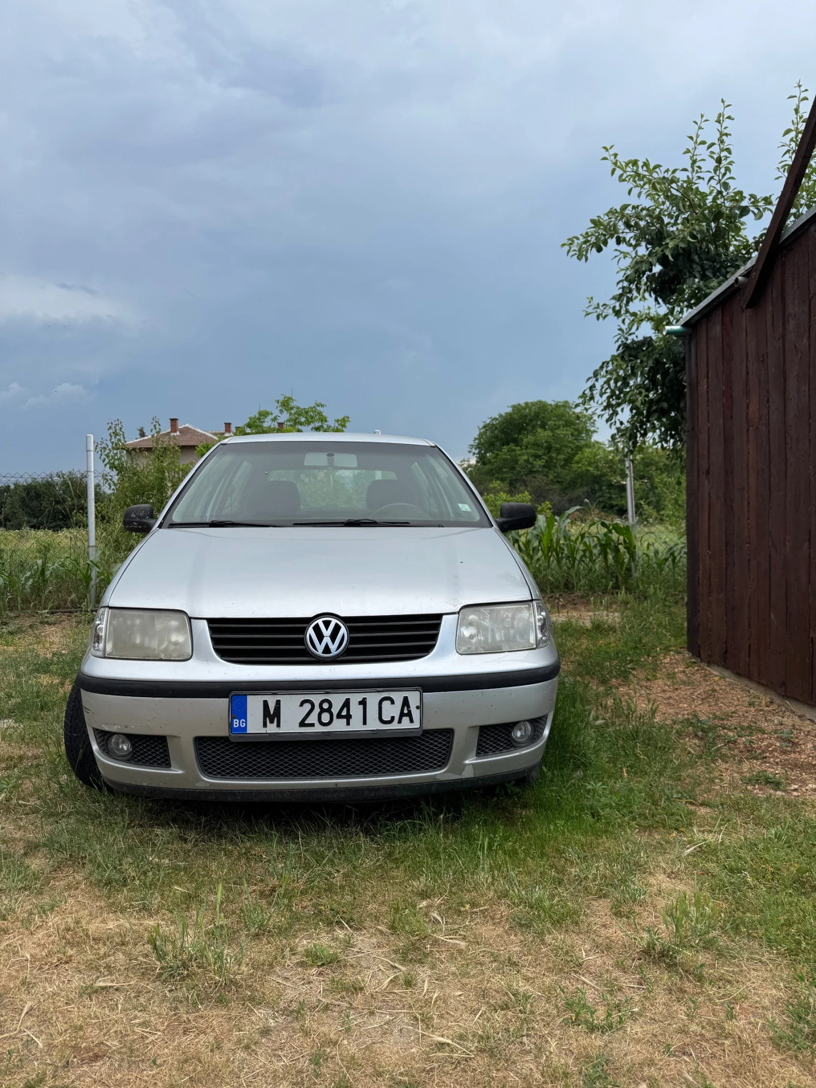 VW Polo