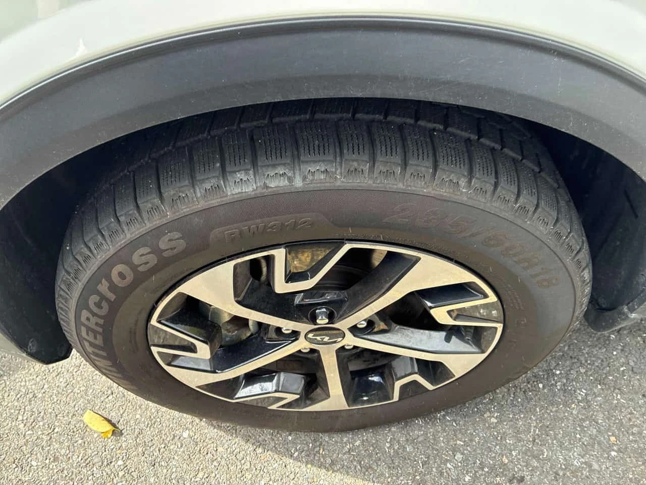 Kia Sportage * EX * CARFAX *  | Mobile.bg � ����������� 7