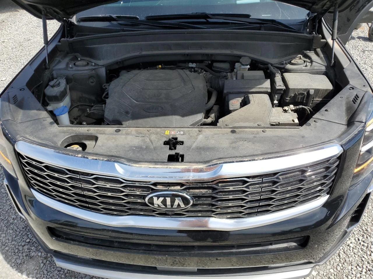 Kia Telluride SX* ���������* �������* BOSE* 360* AWD | Mobile.bg � ����������� 12