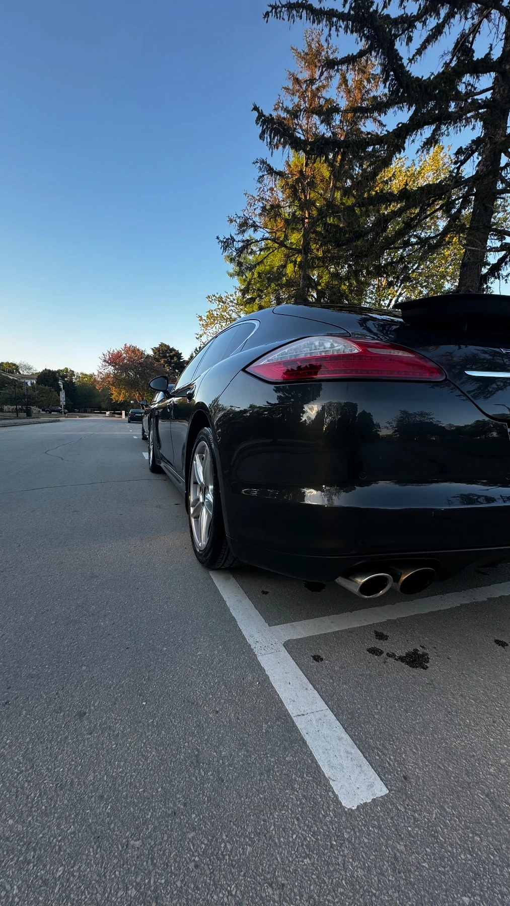 Porsche Panamera 4.8 - изображение 5