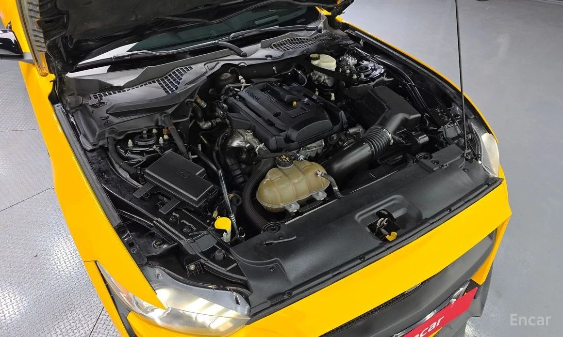 Ford Mustang, снимка 6 - Автомобили и джипове - 54060610