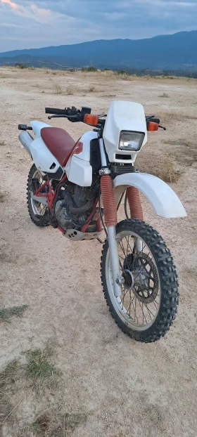 ������ Suzuki Dr