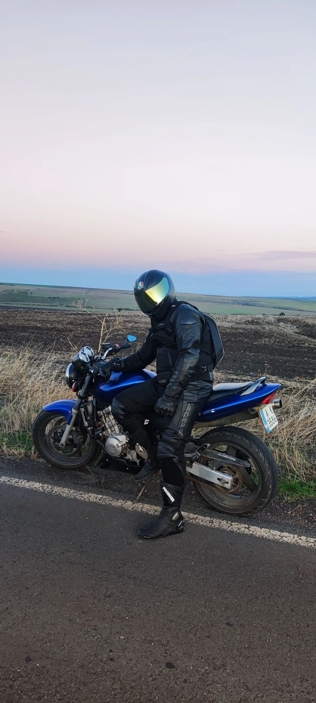 Honda Hornet | Mobile.bg   1