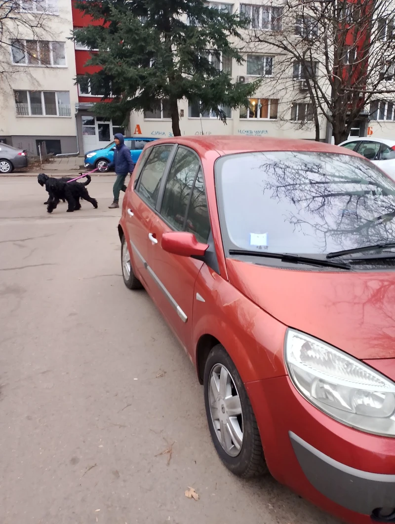 Renault Scenic 1.5 dci, снимка 3 - Автомобили и джипове - 49149137