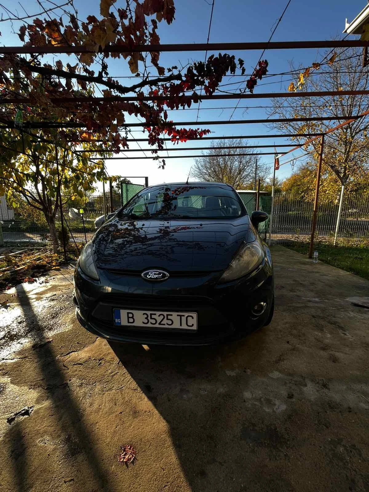 Ford Fiesta, снимка 1