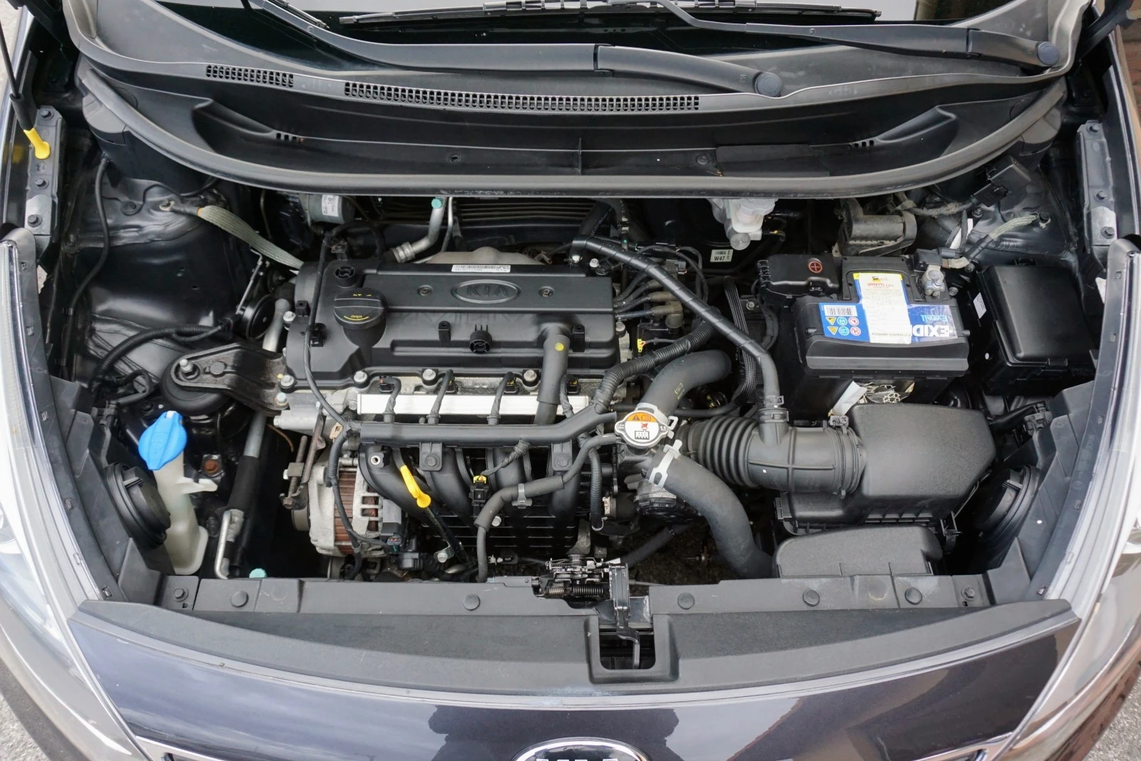 Kia Rio 1.2i 16v COOL KEYLESSGO | Mobile.bg   14